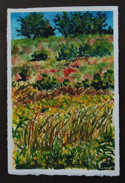 gisland farm, falmouth maine audubon sanctuary watercolor painting by Sarah Laurence 