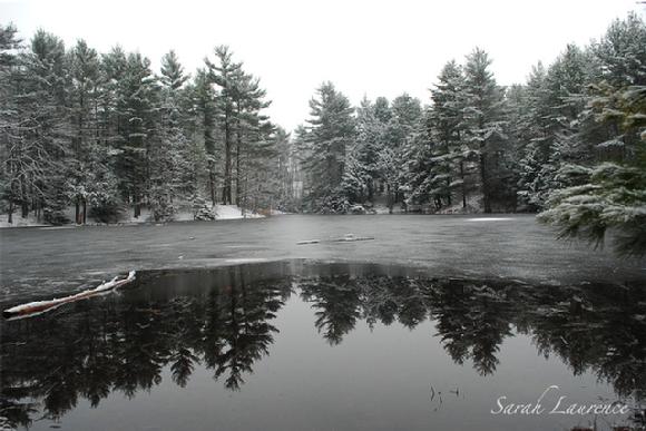 brunswick maine in winter photo