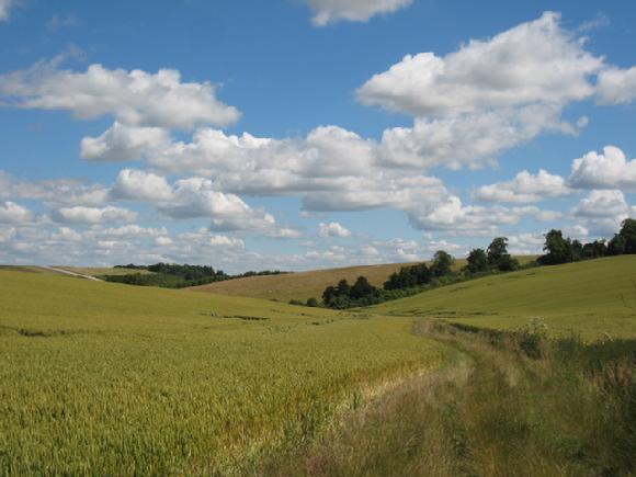 between the fields photo by sarah laurence