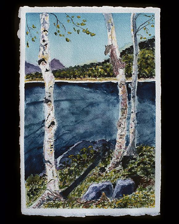 The Birches at Moosehead Lake watercolor by Sarah Laurence