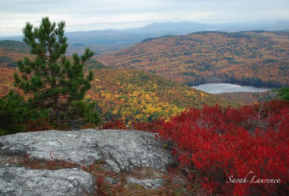White Mountain National Forest, fall foliage