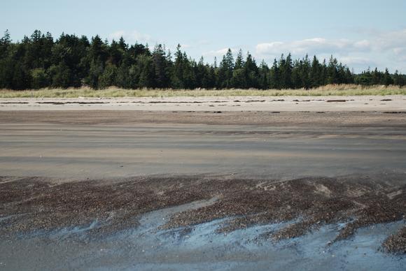 seawall beach phippsburg maine photo